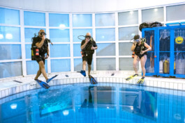 Souhila Photographie