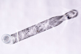 Souhila Photographie