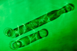 Souhila Photographie