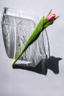 Souhila Photographie