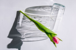 Souhila Photographie