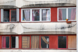 Souhila Photographie