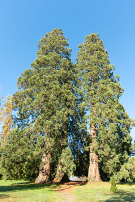 Souhila Photographie