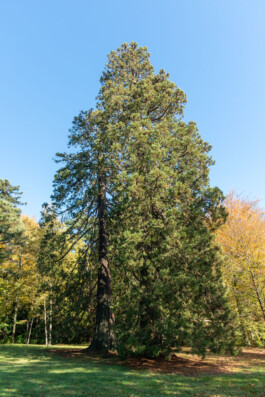 Souhila Photographie