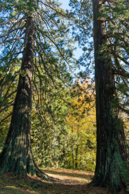 Souhila Photographie