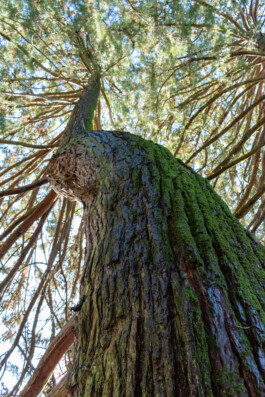 Souhila Photographie