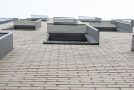 Souhila Photographie